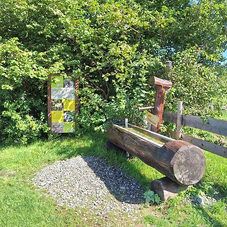 Fewo Allgaeuerle1605 Mit Hallenbad, Sauna, Tiefgarage Und Wlan ミッセン・ヴィルハムス エクステリア 写真