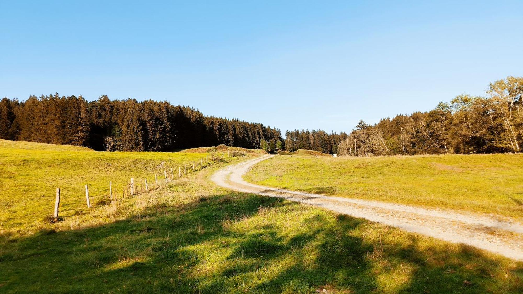 Fewo Allgaeuerle1605 Mit Hallenbad, Sauna, Tiefgarage Und Wlan ミッセン・ヴィルハムス エクステリア 写真